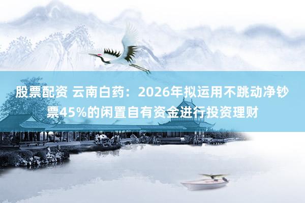股票配资 云南白药：2026年拟运用不跳动净钞票45%的闲置自有资金进行投资理财
