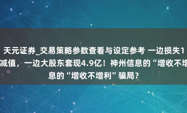 天元证券_交易策略参数查看与设定参考 一边损失1.07亿计提减值，一边大股东套现4.9亿！神州信息的“增收不增利”骗局？
