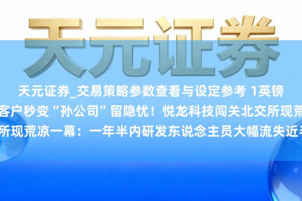 天元证券_交易策略参数查看与设定参考 1英镑收购，上市申报前夜大客户秒变“孙公司”留隐忧！悦龙科技闯关北交所现荒凉一幕：一年半内研发东说念主员大幅流失近半，高新企业难符实？