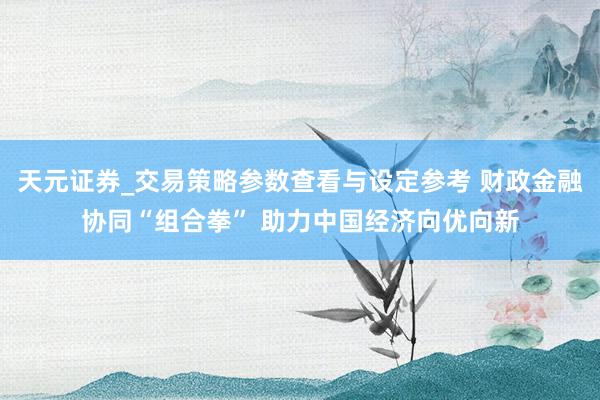 天元证券_交易策略参数查看与设定参考 财政金融协同“组合拳” 助力中国经济向优向新